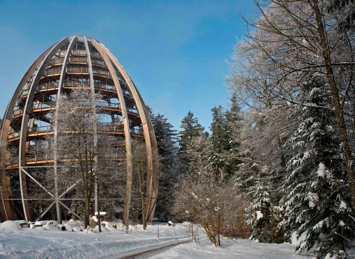 Ferienwohnung Im Landhaus Am Nationalpark Ludwigsthal Esterno foto